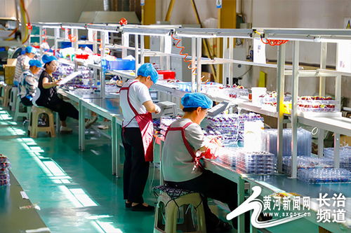 長治高新區(qū) 新品精品名品優(yōu)品 系列 納米晶共模電感